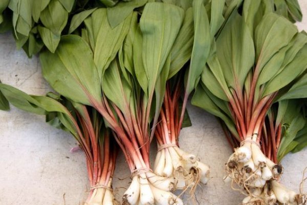 Кракен основная ссылка onion