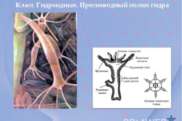 Кракен сайт вход официальный зеркало