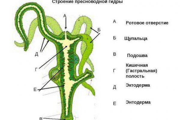 Наркошоп кракен
