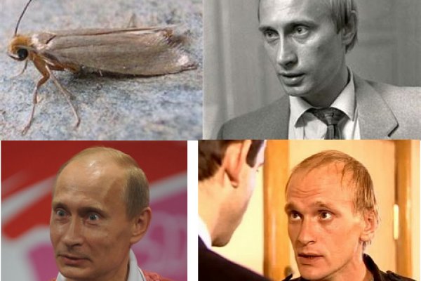 Восстановить аккаунт кракен