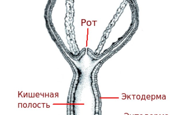 Кракен новый сайт